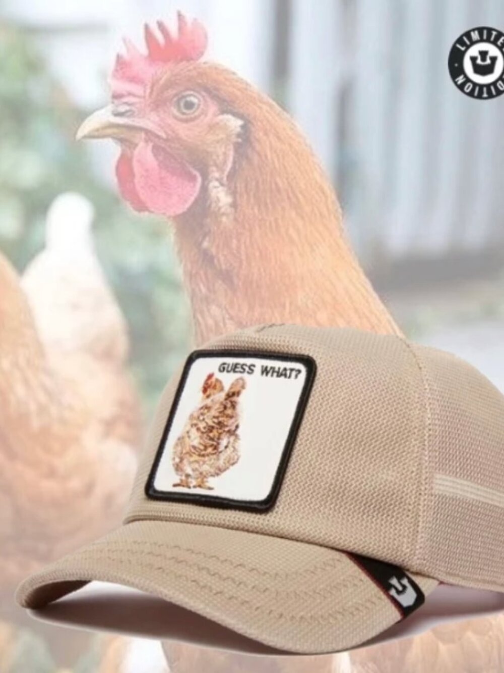 NWT Goorin Bros The Farm Trucker Hat "Guess What? Chicken Hm?" Friday Drop